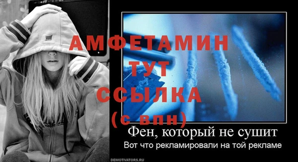 спиды Верея