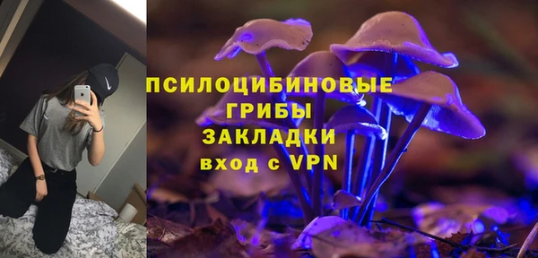 спиды Верея