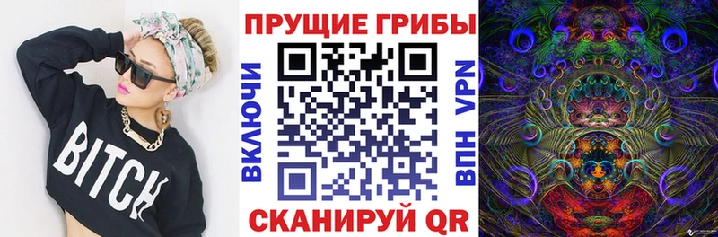 Псилоцибиновые грибы Psilocybe  omg ссылки  Коломна 
